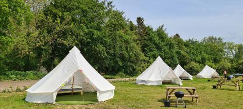 4 Meter Bell Tent - Up to 4 Persons Glamping 15