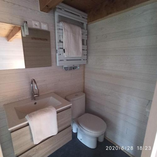 une petite salle de bain avec toilettes et lavabo dans l'établissement Une Tiny House à découvrir au cœur de la cité !, à Contrexéville