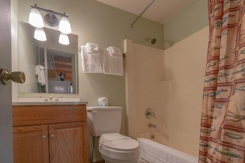 a bathroom with a toilet and a sink and a shower at Swiss Mountain Village in Blowing Rock