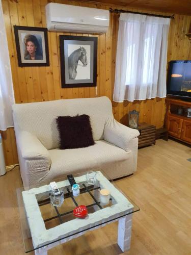 a living room with a couch and a coffee table at Cabaña de madera especial y acogedora in Cardenete