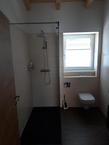 a bathroom with a shower and a toilet and a window at Gästehaus Andreas in Schönsee