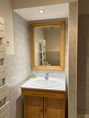 a bathroom with a sink and a mirror at Superbe appartement avec mobilier luxueux. in Morbier