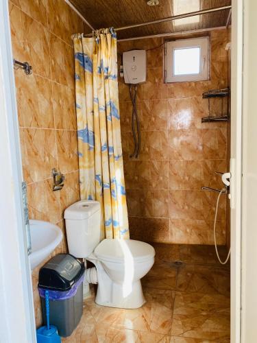 a bathroom with a toilet and a sink at Mamuka's Guesthouse in Udabno