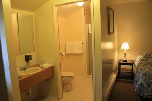 uma casa de banho com um lavatório, um WC e um espelho. em Orca Inn em Alert Bay