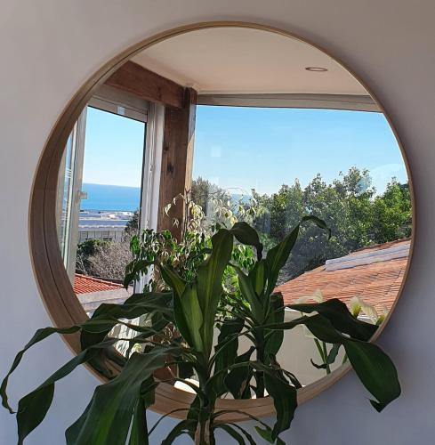 a mirror with a plant in front of a window at White House in Parede