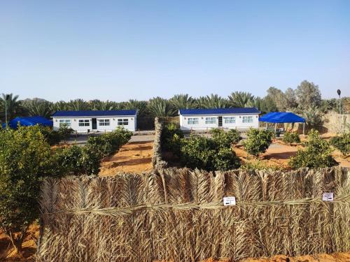 a field of hay with buildings in the background at مزرعة وشاليه سُلافا in Al-ʿUla