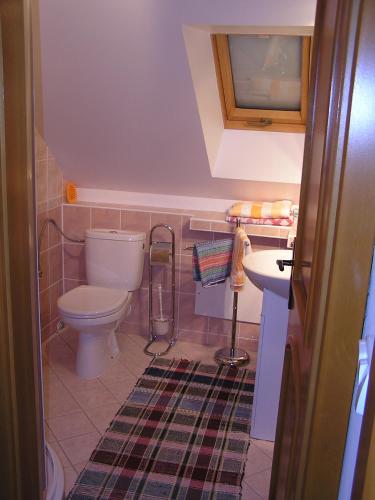 a small bathroom with a toilet and a sink at Privát Sokolie in Terchová