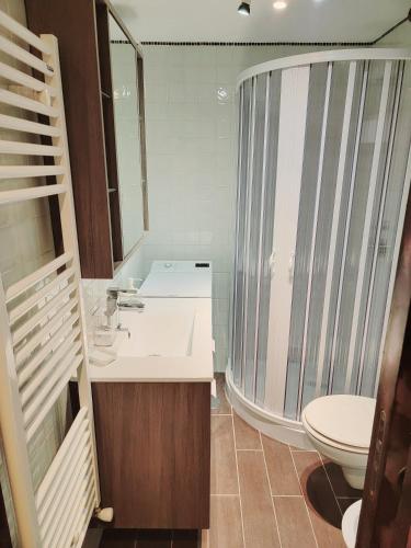 a bathroom with a shower and a sink and a toilet at GIOVINAZZO HISTORIC APULIA old town stone house with private patio in Giovinazzo