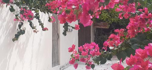 Um ramo de flores cor-de-rosa num edifício branco. em Villa Jodie Fortim em Fortim