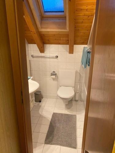 a small bathroom with a toilet and a sink at Hotel Adler Garni in Bauma