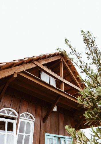 a wooden house with white windows and a tree at Chalé Sol com hidromassagem em meio a natureza in Piçarras
