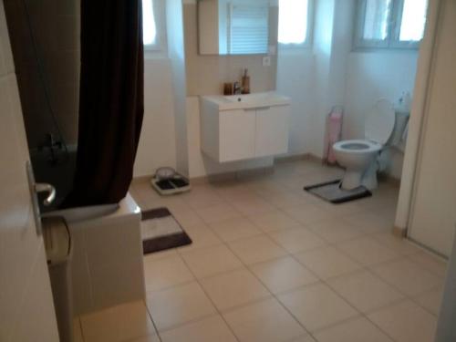 een witte badkamer met een toilet en een wastafel bij Appart 53 m2 en Rdc maison, jardin, à 50 m plage in La Turballe