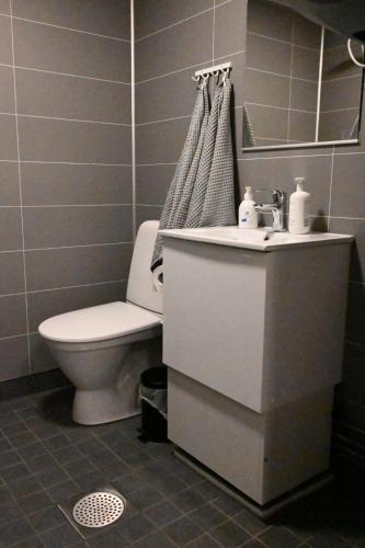 a bathroom with a toilet and a sink at Willa Rauha 1B in Lumijoki