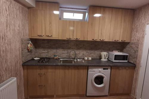 a kitchen with a sink and a washing machine at Tbilisi House in Tbilisi City