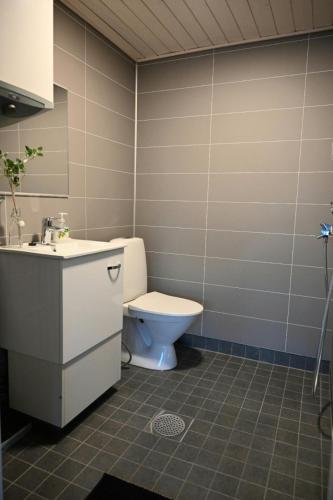 a bathroom with a toilet and a sink at Willa Rauha E, minikoti saunalla, iso parkkialue in Lumijoki