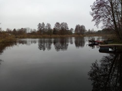 a view of a lake with a dock and trees at Kamiennikove in Kamiennik