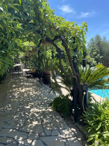 a walkway with trees and plants next to a pool at Bastide Aïna SPA et piscine in Grasse