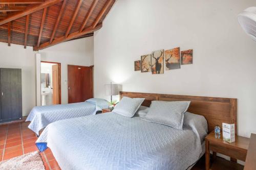 Gallery image of Hotel San Gil Campestre in San Gil