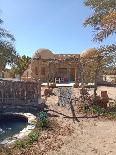 a house with a pool in front of it at Elysium resort in Bawiti in Bawiti