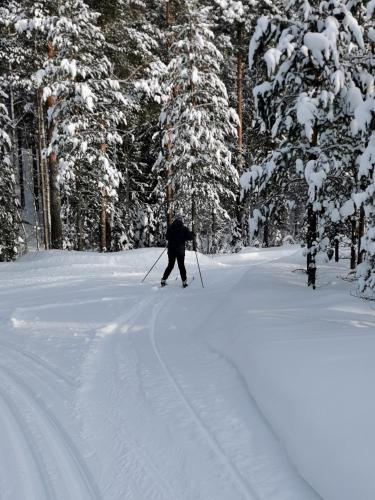 a person is cross country skiing in the snow at Nordic character in Vidsel