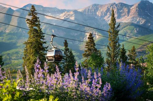 a ski lift in the mountains with purple flowers at Mountain Lodge Telluride in Telluride