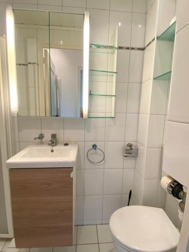 a bathroom with a sink and a toilet and a mirror at Appartement Walvis nr. 9D in Vrouwenpolder