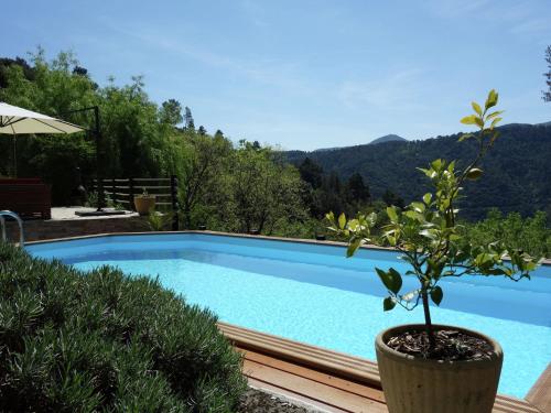 una piscina con una maceta al lado en Modern holiday home with swimming pool, en Saint-Fortunat-sur-Eyrieux