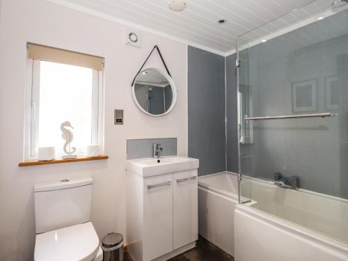 a bathroom with a toilet and a sink and a mirror at Ridgway Lodge in Windermere