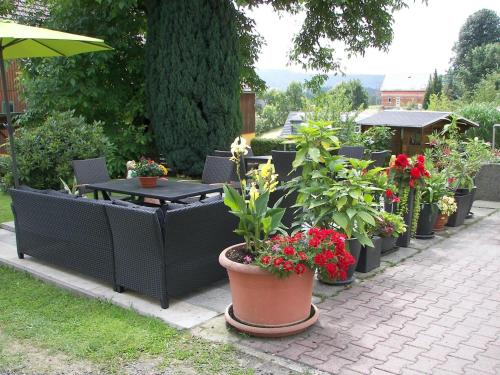 eine Reihe von Topfpflanzen auf einer Terrasse in der Unterkunft Holiday home in Saxon Switzerland quiet location big garden grilling area in Lichtenhain