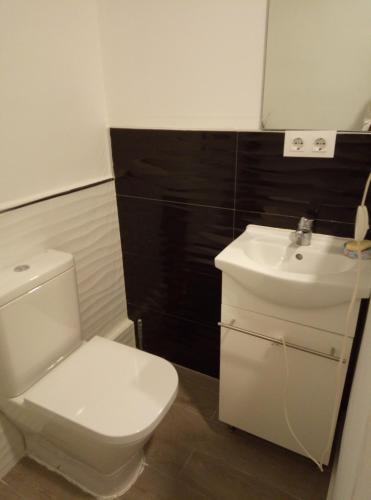 La salle de bains est pourvue de toilettes blanches et d'un lavabo. dans l'établissement Alquilo Habitación individual con aseo privado solo Chicas, only girls, à Valence
