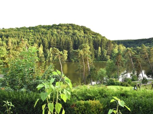 GüntersbergeにあるCozy Holiday Home in G ntersberge with Lake Viewの森の中の湖