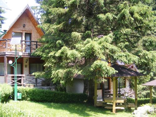 a house with a large tree in front of it at Traveland Alpina Resort Poiana Brasov in Poiana Brasov