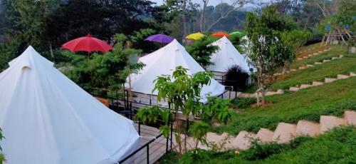 a group of tents with umbrellas in a field at JK Riverview Resort in Ban Song Phi Nong