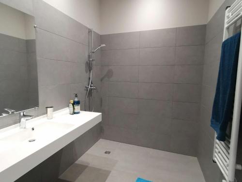 een badkamer met een wastafel en een douche bij Gîte Vielprat, 1 pièce, 4 personnes - FR-1-582-337 in Vielprat