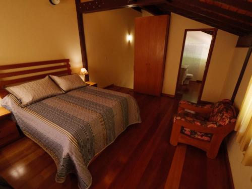 a bedroom with a large bed and a mirror at Pousada Rural Altos de Lumiar in Nova Friburgo