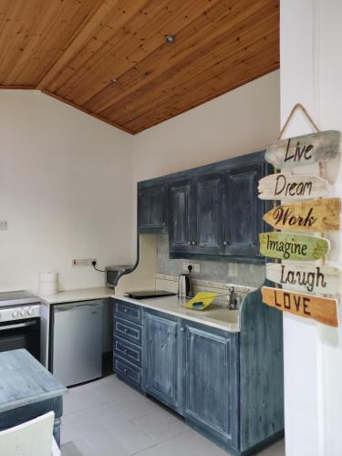 a kitchen with gray cabinets and a wooden ceiling at Wooden House in Paphos