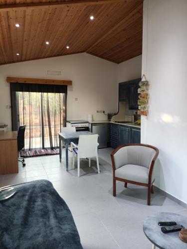 a kitchen and living room with a table and chairs at Wooden House in Paphos