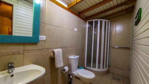 a bathroom with a sink and a toilet and a shower at Shams Hotel & Dive Centre in Dahab