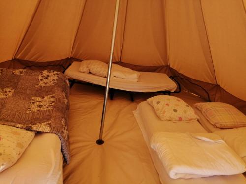 Le tipi familial – Photos 5