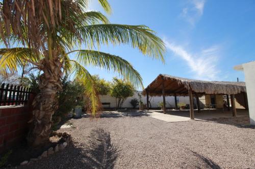 a palm tree next to a building with a roof at Departamento ‘El Chulo’ en Palapa Ochoa in Loreto