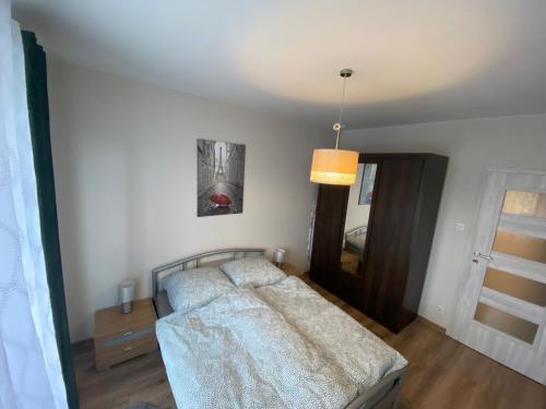 um quarto com uma cama e uma fotografia na parede em Apartament Gorzów em Gorzów Wielkopolski