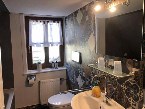 a bathroom with a sink and a toilet and a mirror at Appartementhaus Blume in Bad Pyrmont