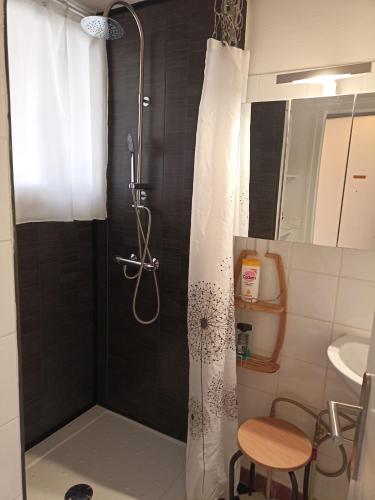 une douche avec un rideau de douche dans une salle de bain dans l'établissement Turgot, à Thonon-les-Bains