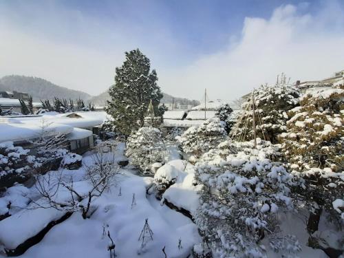 a garden covered in snow with bushes and trees at Hohoemino Kuyufu Tsuruya in Tendo
