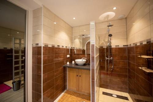 une salle de bain avec douche et lavabo dans l'établissement le relais du tilleul, à Chevenoz