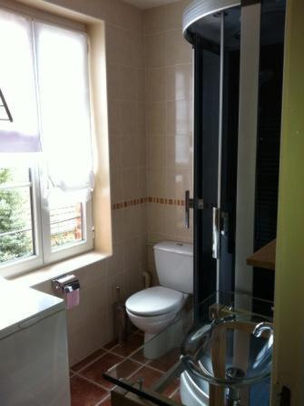 La salle de bains est pourvue de toilettes et d'un lavabo en verre. dans l'établissement La Maison Rouge, à Saint-Sauveur-en-Puisaye