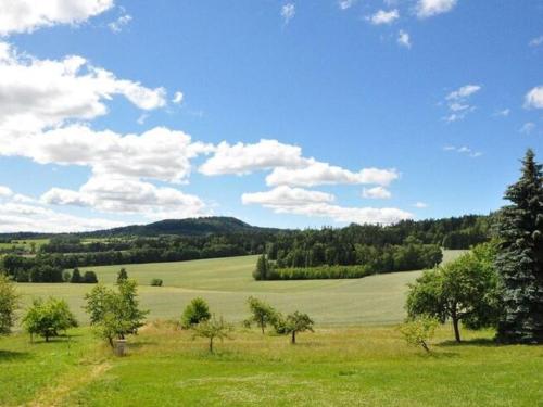 un champ vert avec des arbres et des nuages dans le ciel dans l'établissement Spacious Holiday Home in Dlouh with Sauna, à Dlouhý