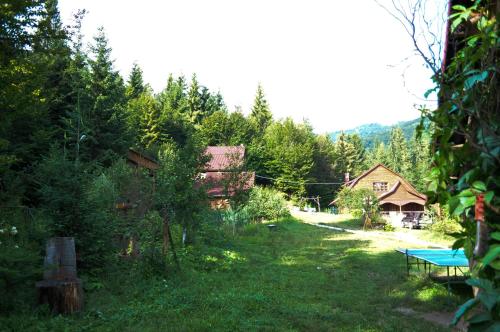 a yard with a house and a picnic table at Zarinok in Pilipets