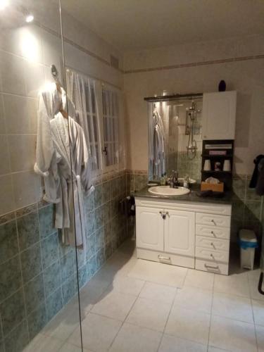 une salle de bain avec une douche, un lavabo et un miroir dans l'établissement Le gîte de Poulas, à Couffy