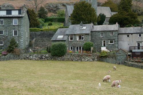 a group of sheep grazing in a field in front of a house at Church Bank in Chapel Stile